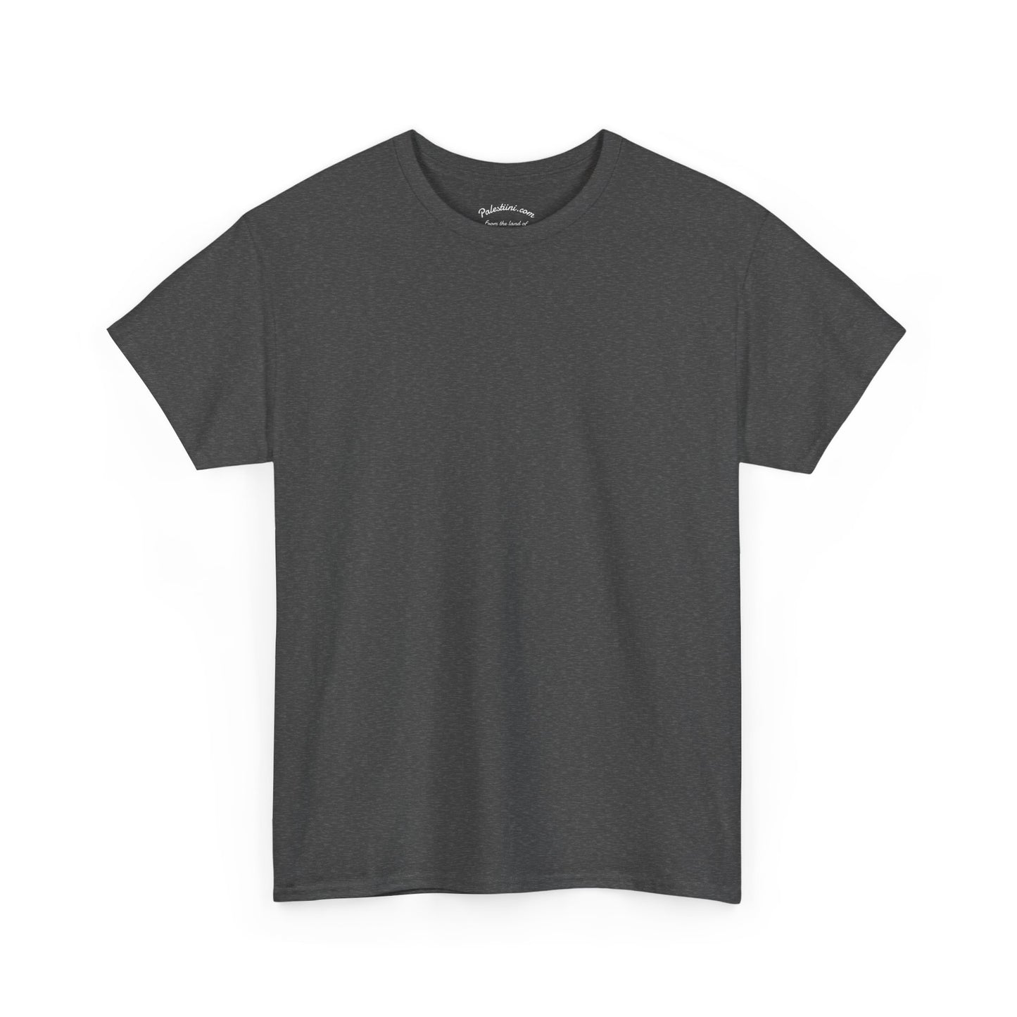 T-shirt Palestine homme - "Nos terres perdues" - Impression Dos